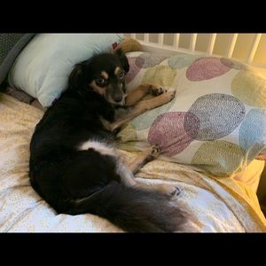 Meet your Posher, Catherine